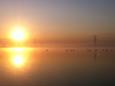 Zonsopkomst Cattenbroek. Daar geniet je ook van als je langs de waterkant zit. Gertjan van Klinken (karpervisser)