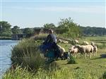 Uitslagen witvissen senioren 5e wedstrijd 2019