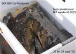 Terugmeldweekend SKP HSV De Rijnstreek