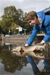 Streetfishing middag voor de jeugd