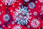 Nieuws aangaande het Coronavirus